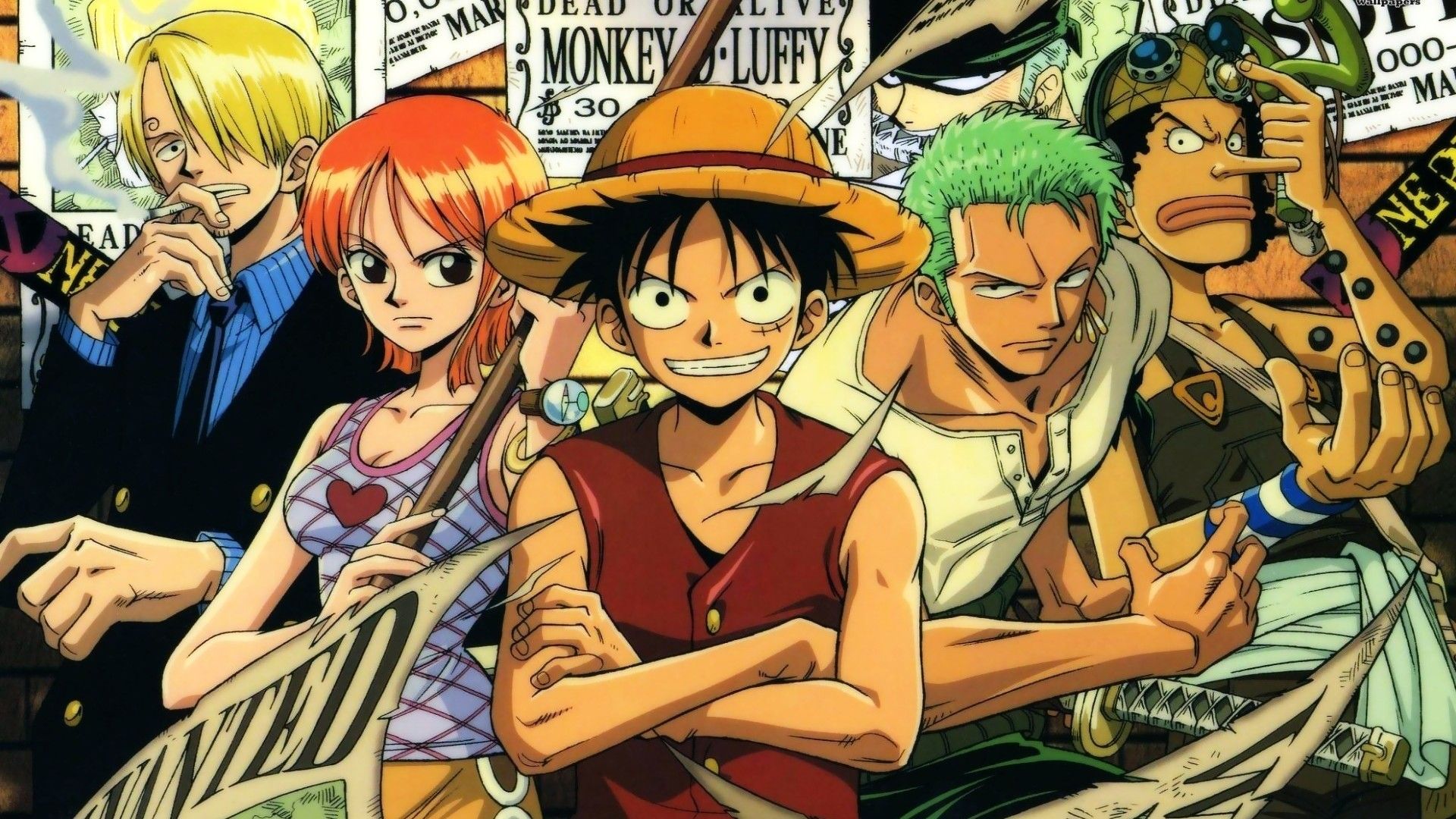 One Piece Card Game